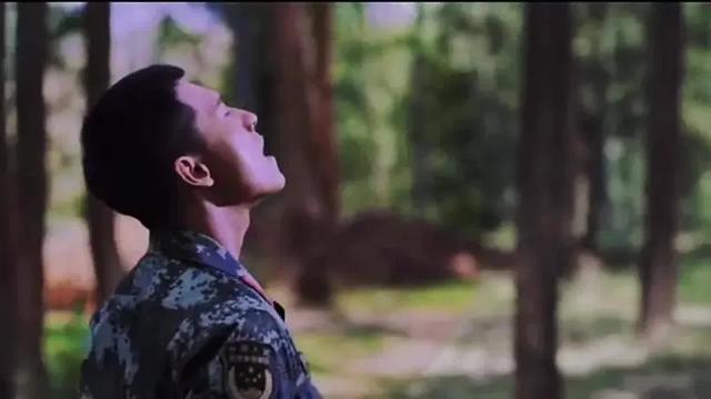 杨洋还有哪些新剧未播，2021年五部待播军旅剧