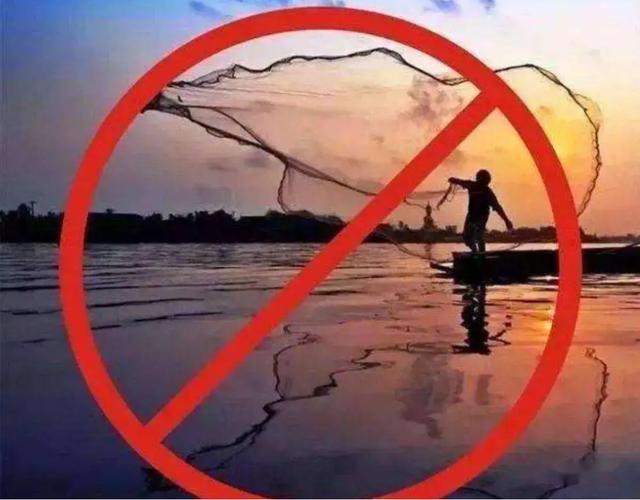 长江流域十年禁渔从什么时候开始，十年长江禁渔才2年