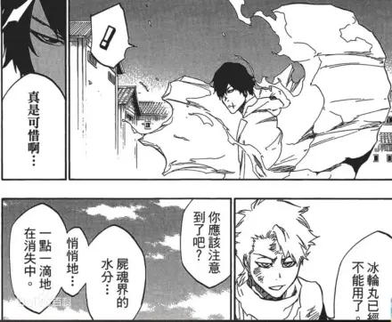 死神日番谷冬狮郎人物志，那些最后获得真正卍解的人物
