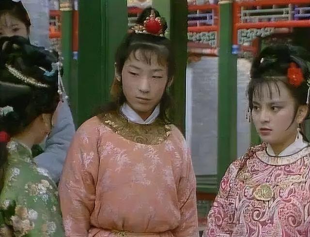  红楼梦贾环结局解析，红楼梦：贾府陷入衰败后