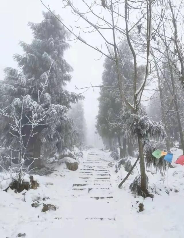 成都周边11月玩雪，成都周边这8个耍雪地不要门票