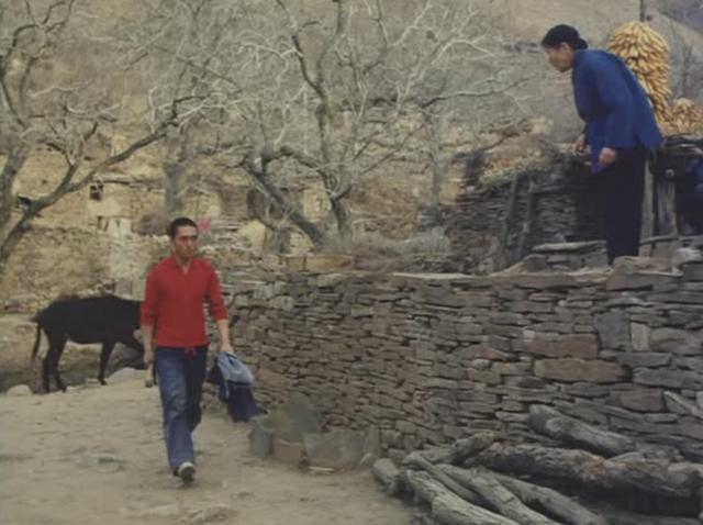 张艺谋的电影风格和特点，作为时代的一块