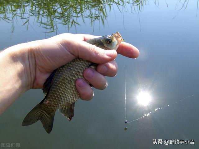 钓鱼技巧全攻略，如何钓鲫鱼钓鱼技巧全攻略（钓鱼技巧：4个实用野钓技巧）