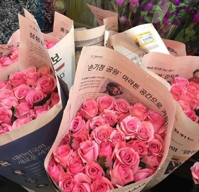 关于玫瑰的文案，玫瑰的唯美文案（有关玫瑰高级又浪漫的文案）