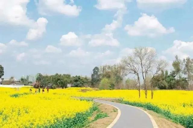 成都自驾游攻略，成都一个小时自驾游攻略（四川省内9条精华主题自驾路线攻略地图分享）