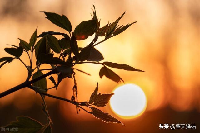 六个心法让你学会控制自己情绪，把控情绪不生气