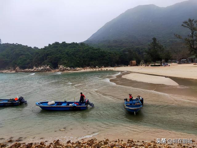 杨梅坑鹿嘴山庄，杨梅坑深圳旅游（鹿嘴山庄寻鹿攻略）