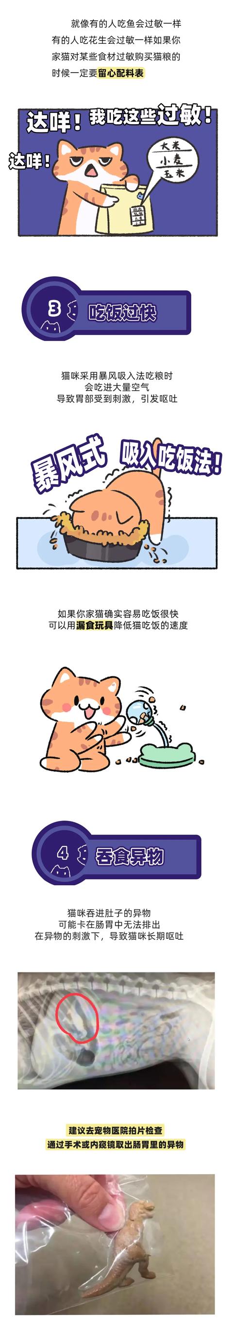 小猫咪经常呕吐怎么回事，小猫咪呕吐了背后真相曝光