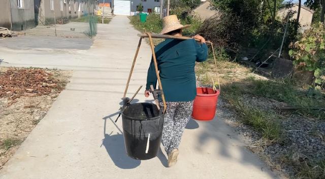 今日最新消息劳荣枝，劳荣枝案情最新消息