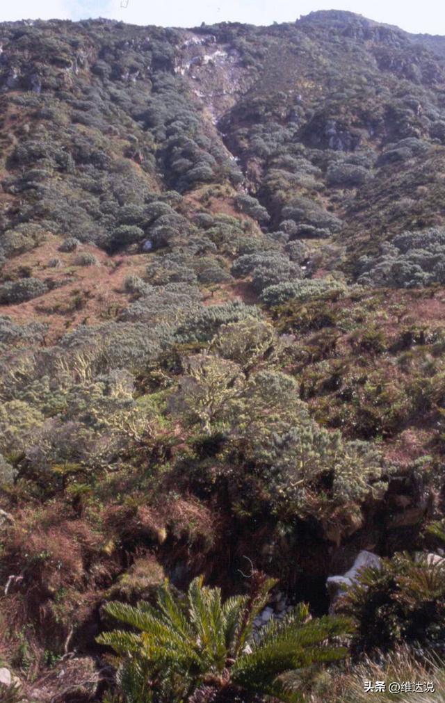 世界上最小的岛屿，世界上最小的岛圣克鲁斯岛（中间还有个幽美的火山湖）