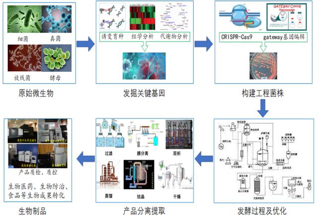 生物工程专业排名，生物工程专业全国高校排名