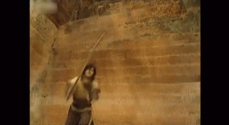 南宁市动物园浣熊介绍，带你去南宁动物园看