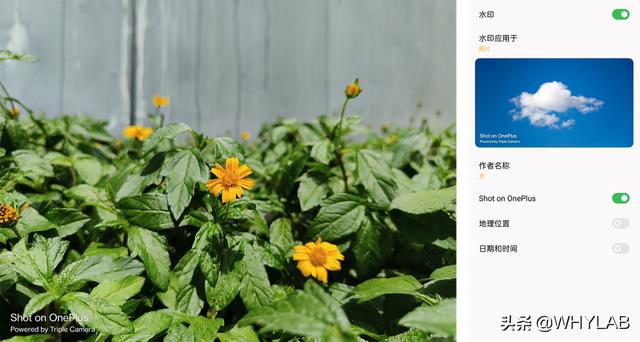 相机里的水印，你的废片有救了