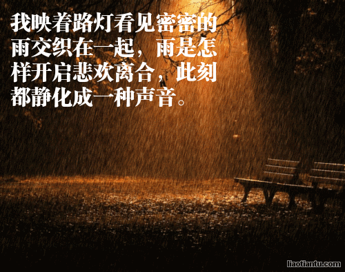 闲来听夜雨，静静的聆听夜雨