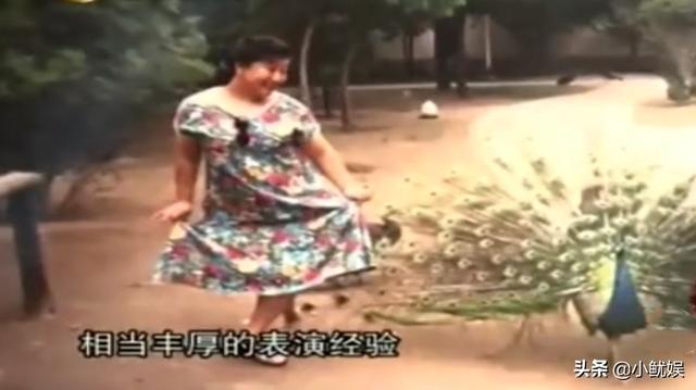 何庆魁和高秀敏有孩子吗，小别墅内景曝光太奢华