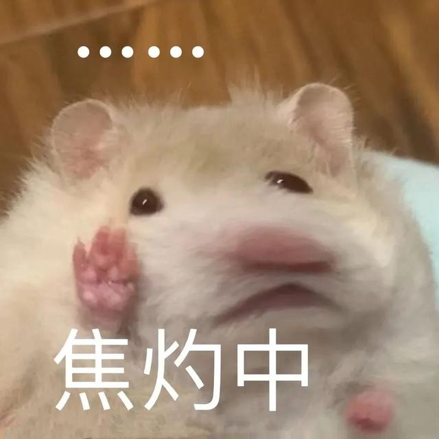 小仓鼠动态迷你表情包，变形脸仓鼠可爱老鼠