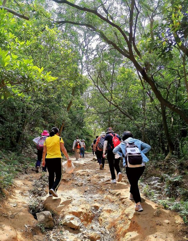 关于深圳梧桐山简介，深圳之巅——梧桐山