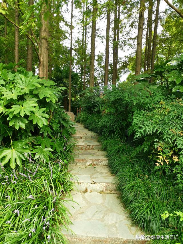 上海最值得徒步的路线，徒步上海普陀区甘泉公园