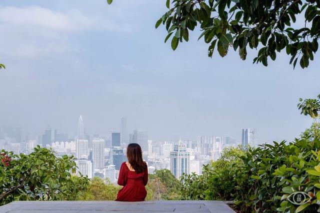 深圳有哪些风景漂亮的山，深圳值得征服的25座山