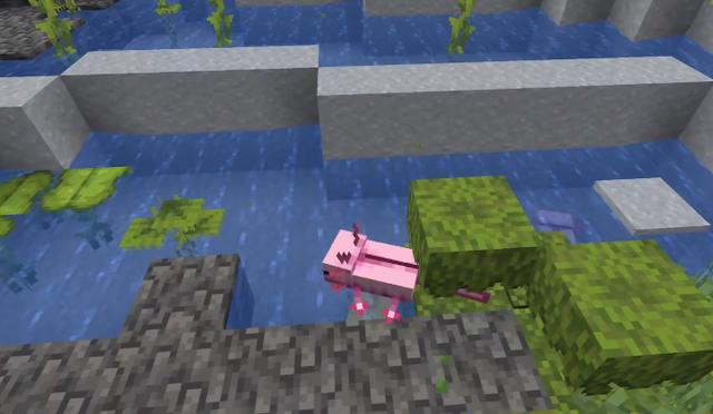 我的世界1.16更新详解，1.18版本更新完毕