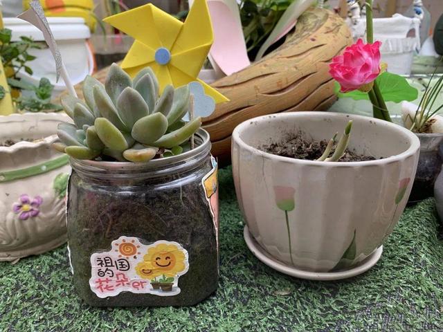 幼儿园自然角在线研讨，小小自然角春意盎然中