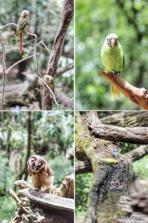 普洱到西双版纳，西双版纳普洱旅游攻略
