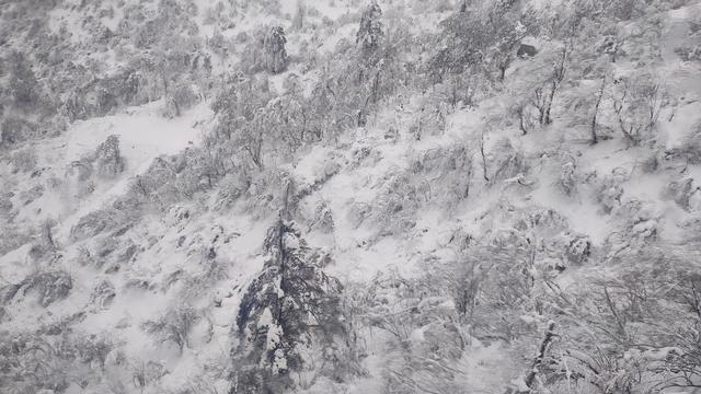 西岭雪山攻略一日游，西岭雪山旅游攻略11月