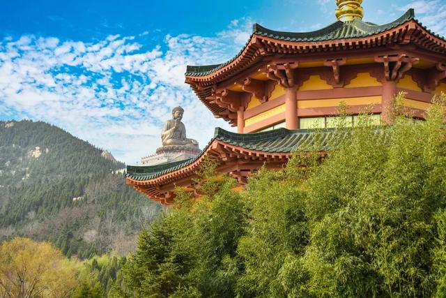 南山旅游攻略必去景点，南山旅游景区花开正好时