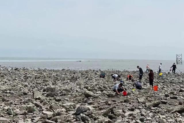 洞头冬天还能不能赶海，天气这么好去洞头赶海啊
