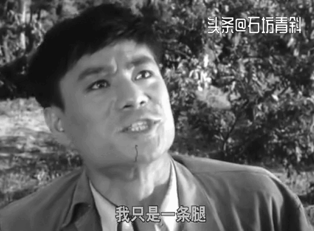 达奇电影经典片段，经典的丛林作战电影，值得收藏