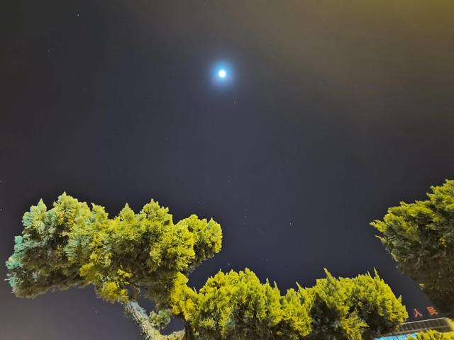 夏诗词飞花令，学生时代必背古诗词大全