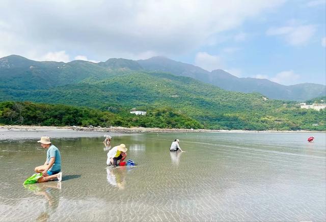 七月退潮赶海时间表，教你如何看懂赶海潮汐时间表