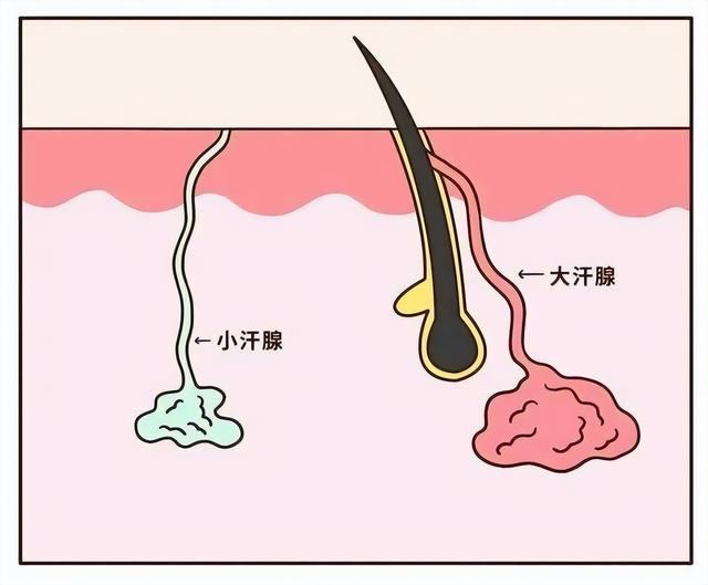 世界上最倒霉的人，世界上最倒霉的人被雷劈过四次（盘点那些世界上最倒霉的人）