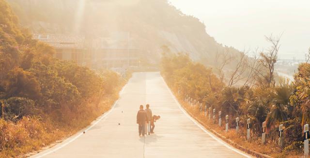 持子之手与子偕老，执子之手与子偕老完整句子