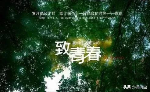 纪念青春的经典语录，他们的青春语录