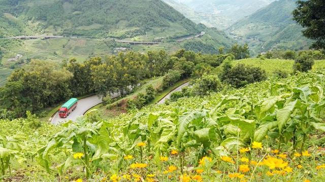北回归线标志园，昆明墨江北回归线标志园（游客排队喝井水：就会生双胞胎）
