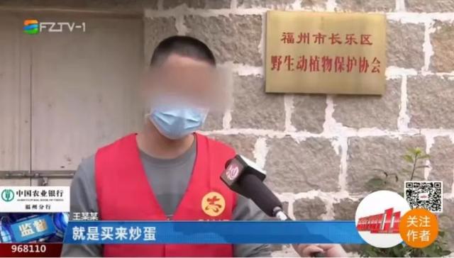 柬埔寨血奴事件，柬埔寨血奴事件发生原因（90后福建女子柬埔寨遭性侵殴打）