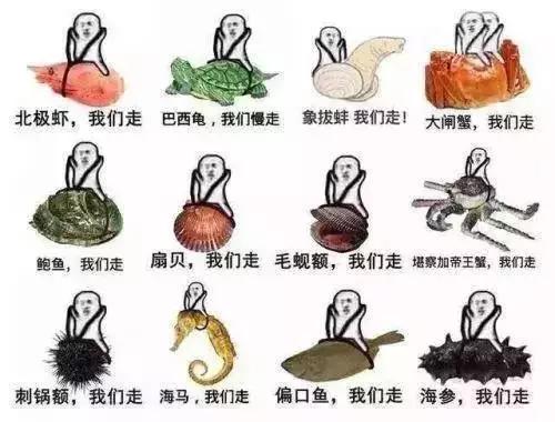 秦皇岛海鲜最肥美的季节，2022秦皇岛最强海鲜日历来了