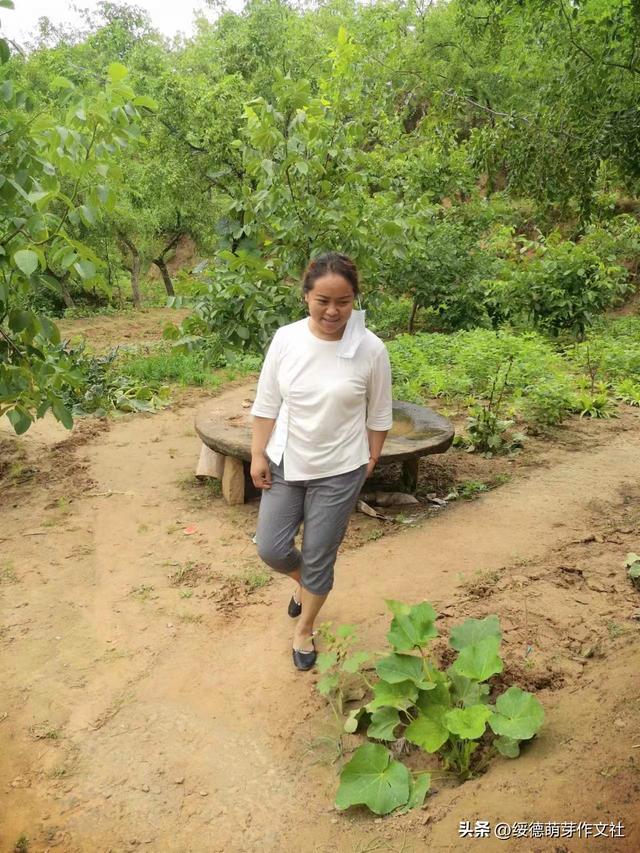 姓黑的都是什么族，黑彝十大家族（五大姓氏高居“古怪榜首”）