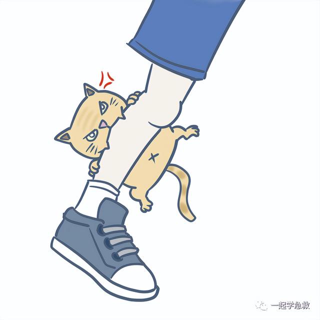 应急急救知识科普，世界急救日应急救护科普知识