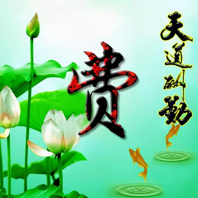 荷花头像图片大全，荷花头像高清图