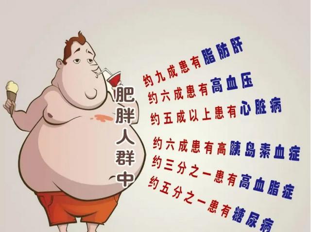肥胖爱生病(肥胖人容易得病)