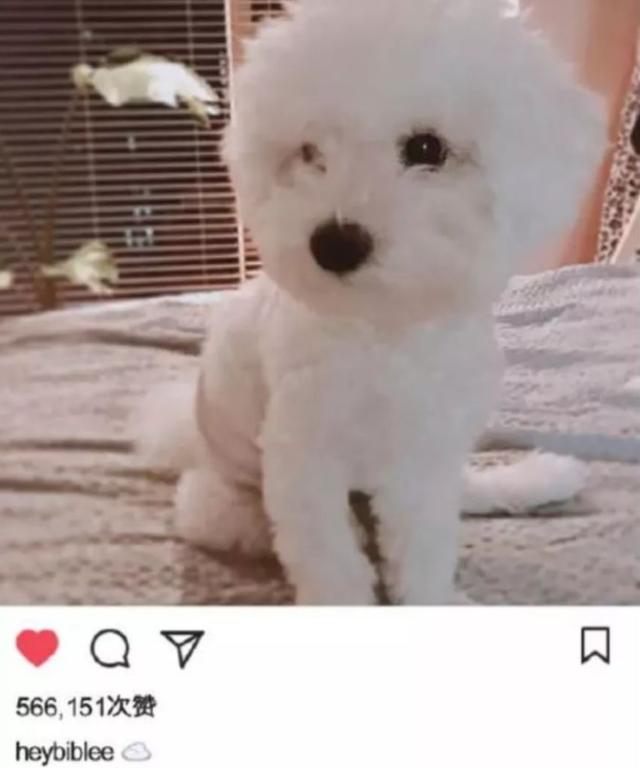 李圣经身高体重，李圣经近期恋情