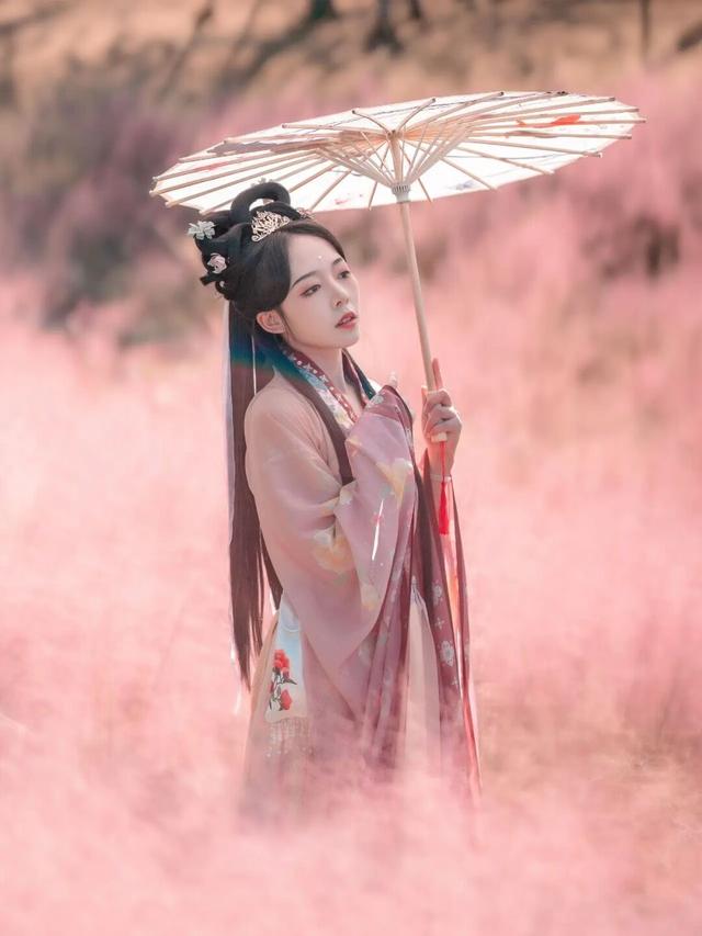 粉黛草向日葵彼岸花海...成都有多少惊喜，粉黛花海花期50天