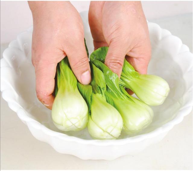 各种类型蔬菜有哪些，蔬菜的分类及品种有哪些