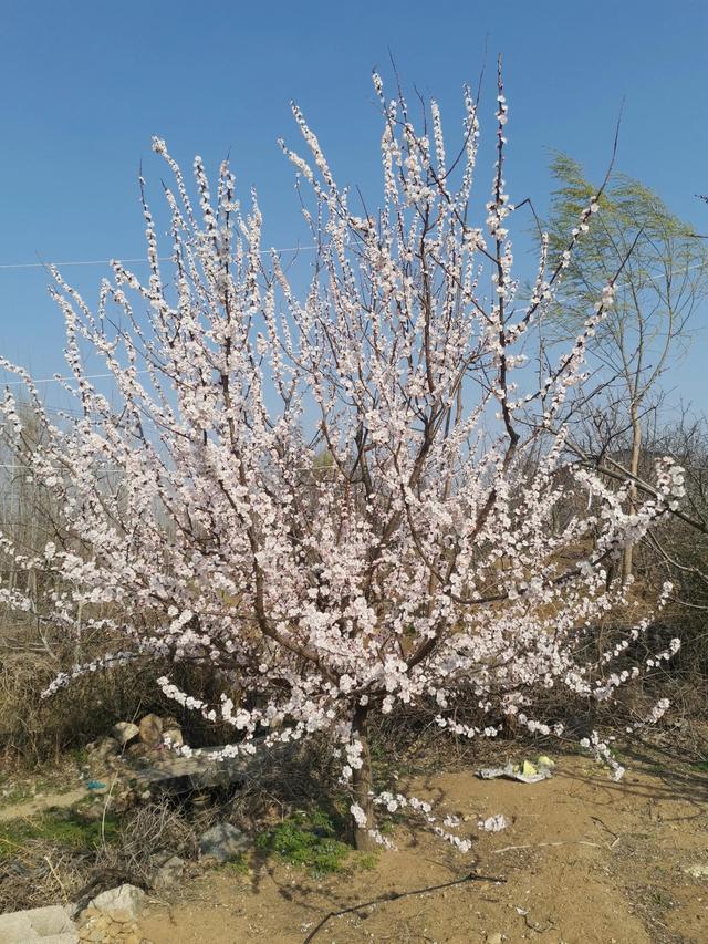 四月份是什么季节，四月份的时候是什么季节了