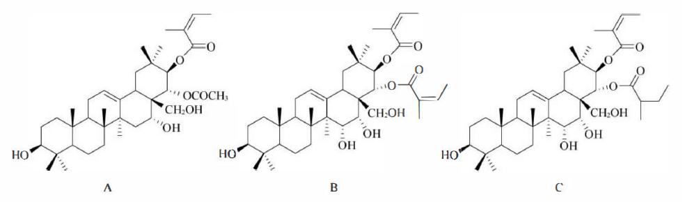 萜类的作用及功能，植物功效成分-三萜及其苷类