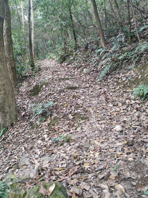 杭州爬山徒步最佳路线轨迹，杭州人的后花园