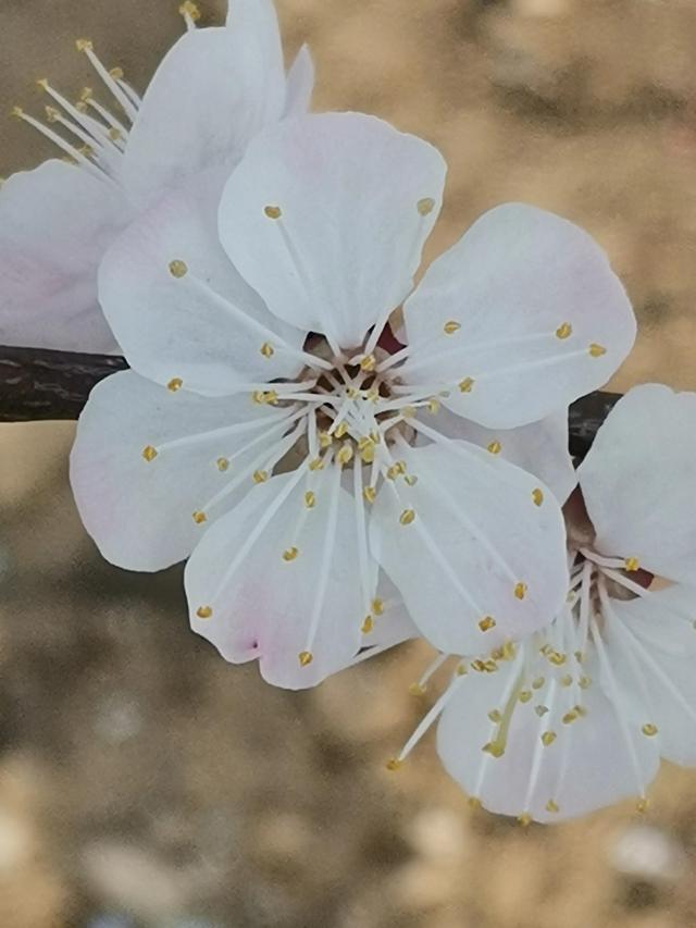 四月份是什么季节，四月份的时候是什么季节了