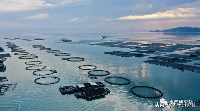 水产养殖关键技术，现代水产养殖主要有这7大模式类型和3大技术趋势
